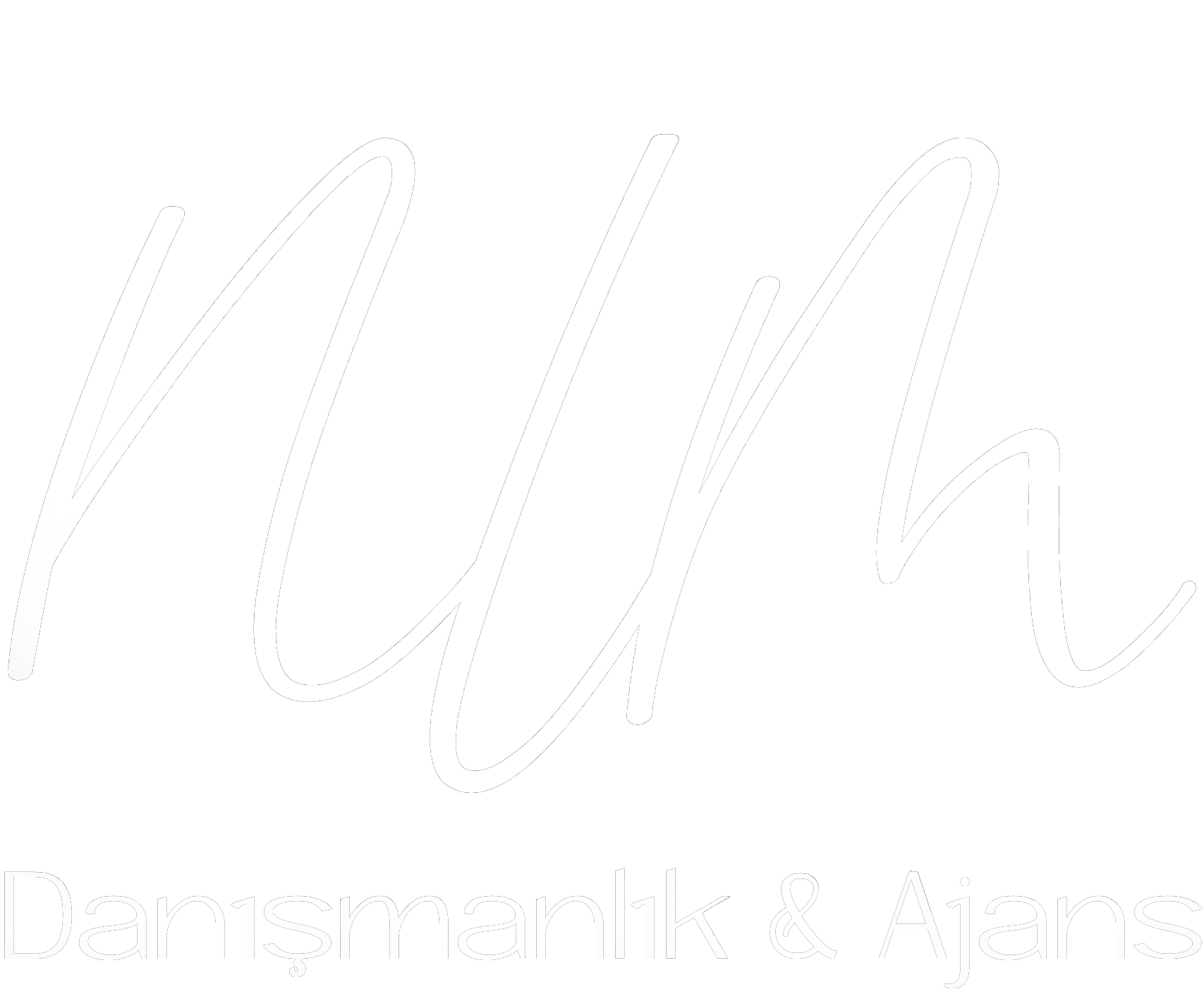 NLM Danışmanlık ve Ajans